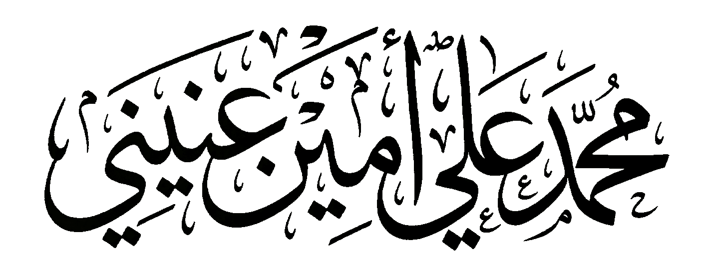 Mohammad Anini